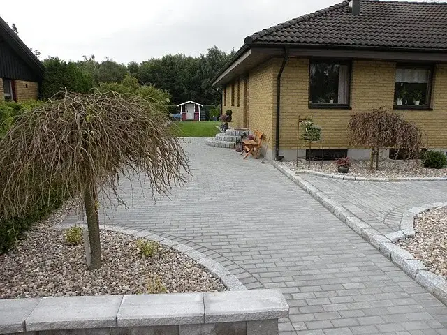 Uppfart i marksten med ett träd i planteringen